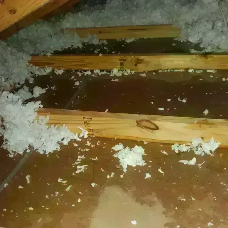 Attic Water Damage in Wink, TX