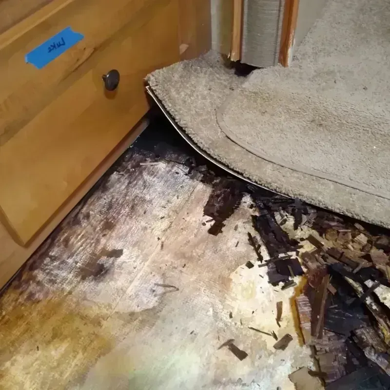 Wood Floor Water Damage in Wink, TX